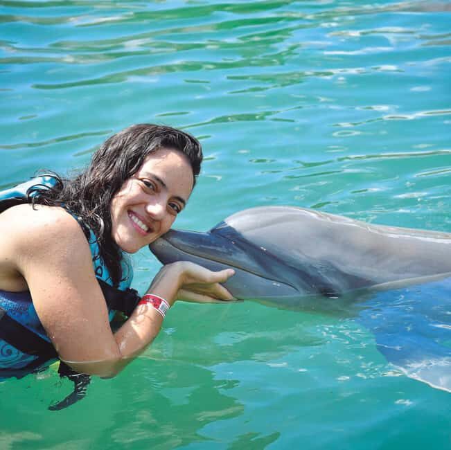 Puerto Aventuras: Dolphins, Manatee & Sea Lion interaction - What Reviewers Say