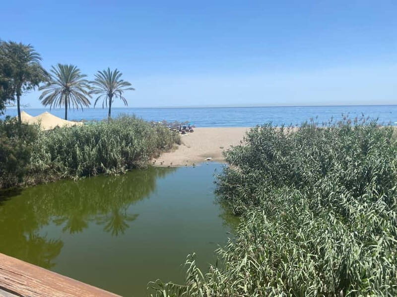 Puerto Banús: Private harbor tour with tapas & drinks - Practical Details & Value