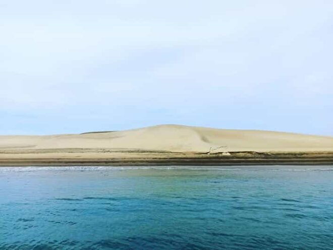 Puerto Chale: Private Gray Whale Watching Expedition - Whale Watching Experience