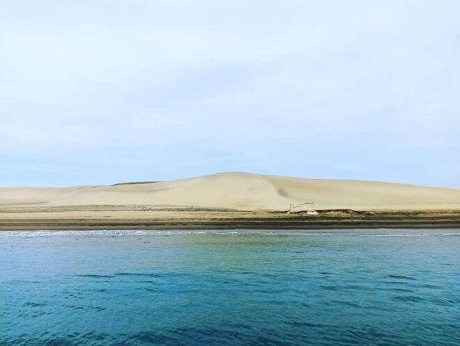 Puerto Chale: Private Gray Whale Watching Expedition - Tour Highlights and Guidance