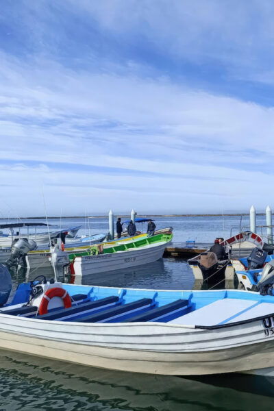 Puerto Chale: Private Gray Whale Watching Expedition - Boat Tour and Driving