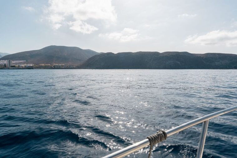 Puerto Colón: Coastal Boat Cruise With Swimming and Snacks - Boat Options and Pricing