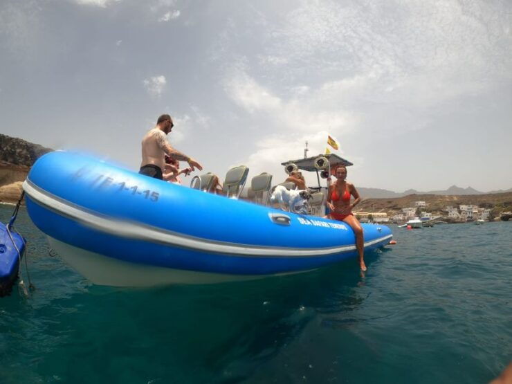 Puerto Colon: Dolphin & Whale Watching Cruise W/ Masca Stop - Booking Details