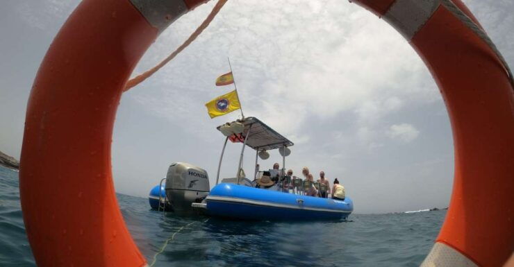 Puerto Colon : Dolphin & Whale Watching on a Speedboat - Booking Information