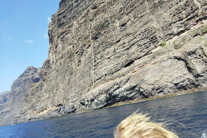 Puerto Colon to Los Gigantes Whale and Dolphin Sea Safari  - Tenerife - Spotting Whales and Dolphins
