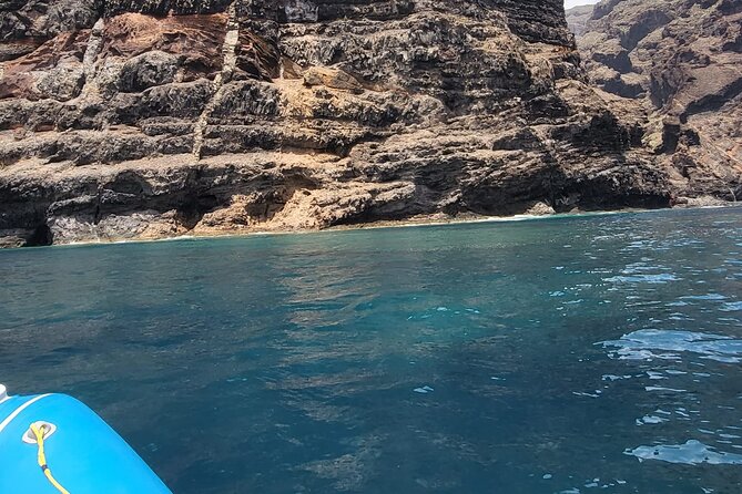 Puerto Colon to Los Gigantes Whale and Dolphin Sea Safari  - Tenerife - Common Questions