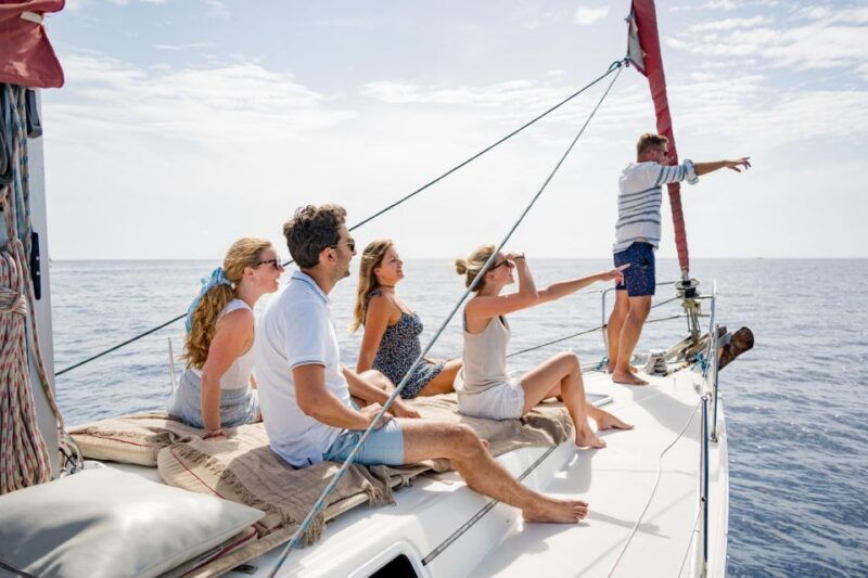 Puerto Colon: Whale and Dolphin Watching Yacht Trip - Itinerary and Highlights