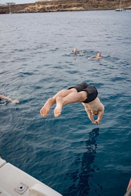 Puerto Colon: Whale and Dolphin Watching Yacht Trip - Customer Feedback