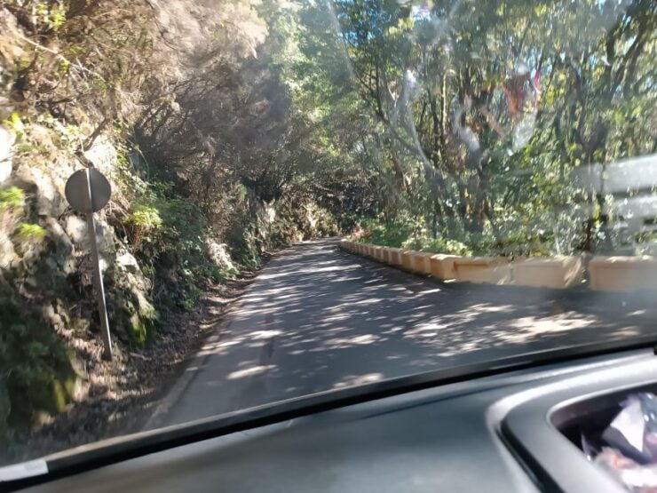 Puerto De La Cruz: Avatar Forest -Taganana-Teresitas+Coctail - Tour Details
