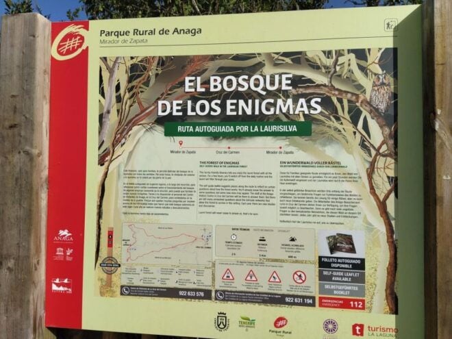 Puerto De La Cruz: Avatar Forest -Taganana-Teresitas+Coctail - Tour Experience