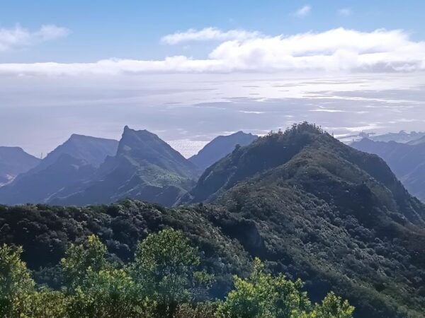 Puerto De La Cruz: Avatar Forest -Taganana-Teresitas+Coctail - Frequently Asked Questions