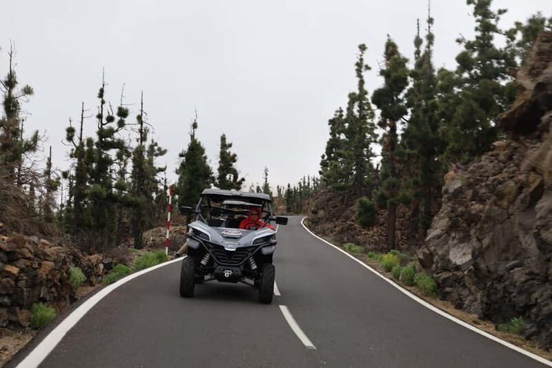 Puerto de la Cruz: Buggy Teide National Park - FAQ