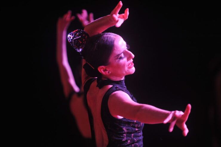 Puerto De La Cruz: Flamenco Show at Casa Ábaco With a Drink - Ticket Information