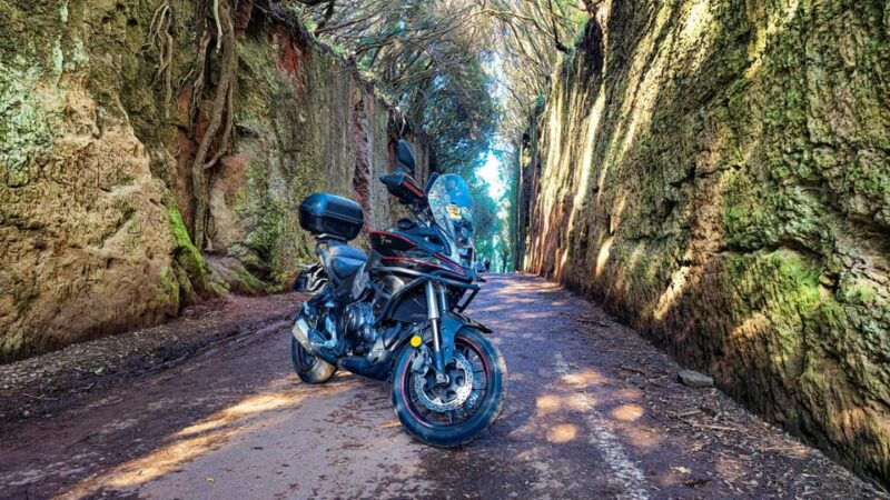 Puerto De La Cruz Motorbike Tour Through Teide National Park - Booking Details