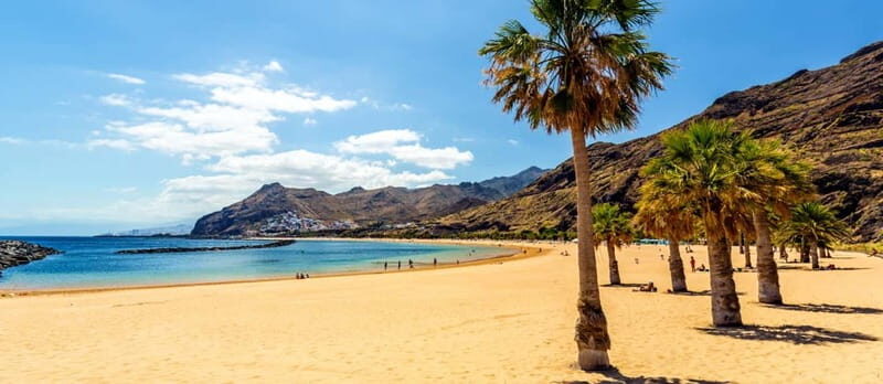 Puerto de la Cruz: VIP Getaway Tenerife Playa Teresitas, Science and Culture - A Closer Look at the Tour Experience
