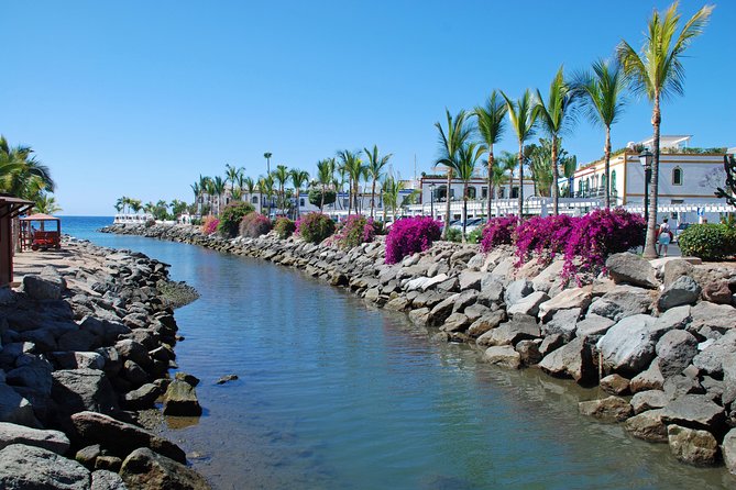 Puerto De Mogan and Canarian Market 6-Hour Guided Tour - Common Questions