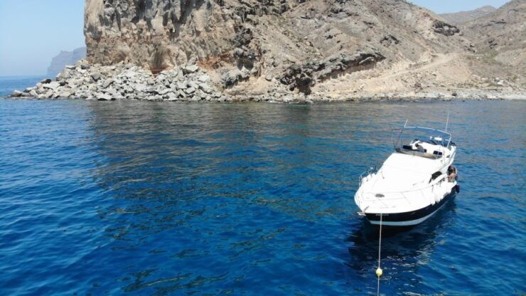 Puerto De Mogan : Dolphin Boat Trip - Activity Details