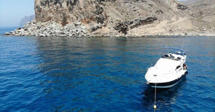 Puerto De Mogan : Dolphin Boat Trip - Experience