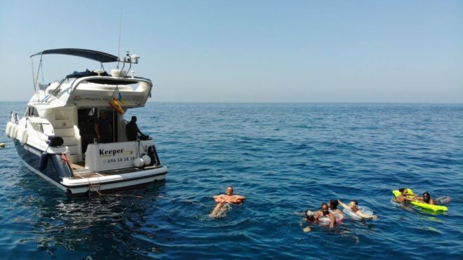 Puerto De Mogan : Dolphin Boat Trip - Inclusions