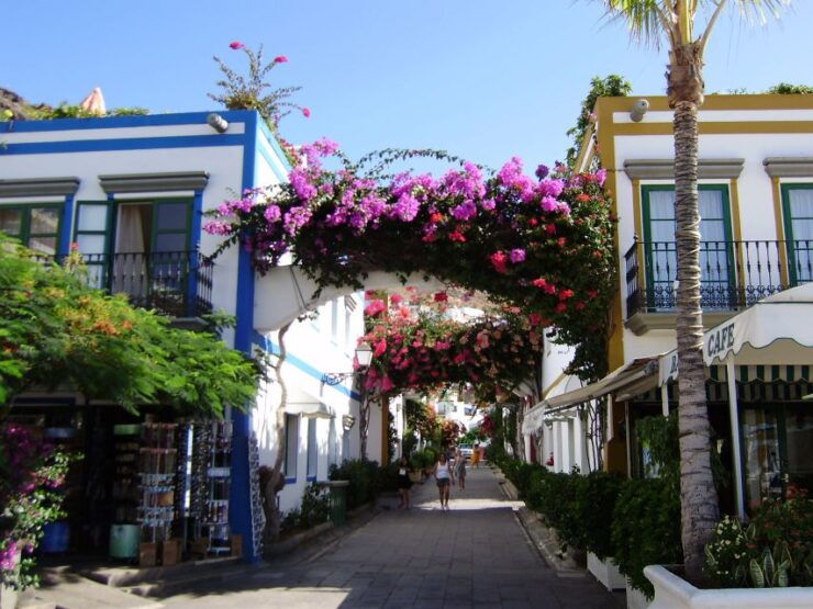 Puerto De Mogan: Friday Market Experience - Tour Details
