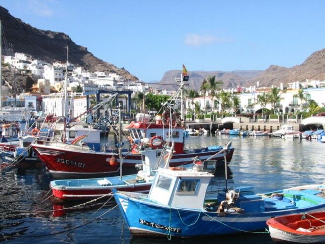 Puerto De Mogan: Friday Market Experience - The Sum Up