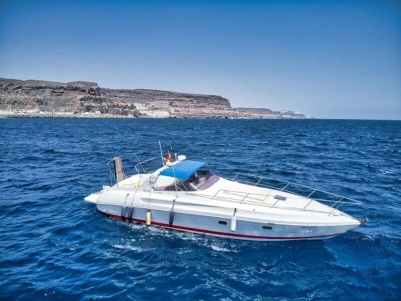 Puerto De Mogán: PRIVATE Yacht for up to 10 Persons - Tour Overview and Details