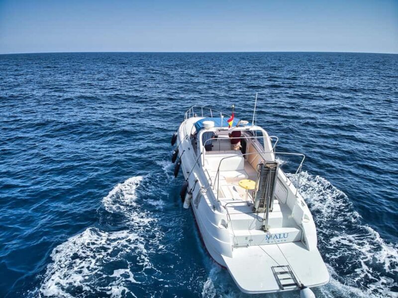 Puerto de Mogán: PRIVATE yacht for up to 9 people - The Highlights of This Private Yacht Experience