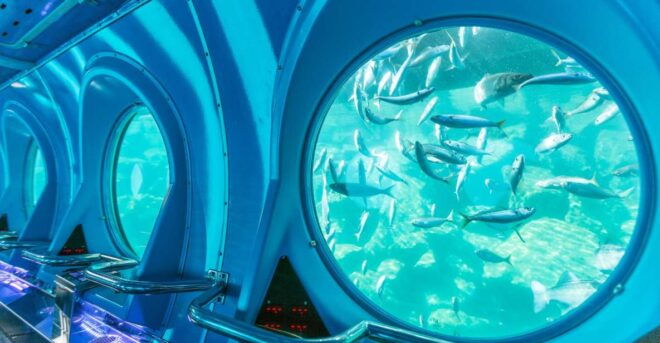 Puerto De Mogán: Submarine Tour - Restrictions