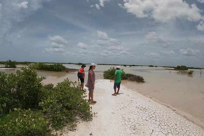 Puerto De Progreso, Aguas Rosas, and Cenote. - Common Questions