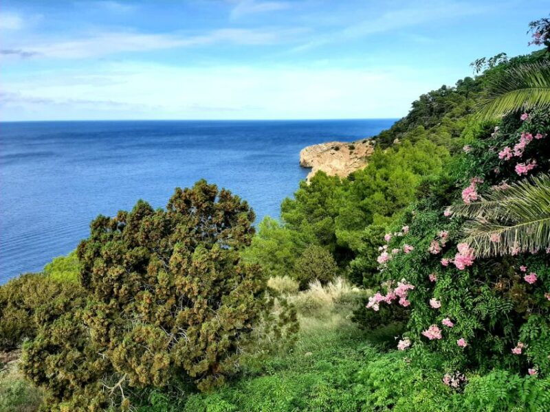 Puerto De San Miguel: Can Marçá Cave Guided Tour With Entry - Pricing and Booking Information