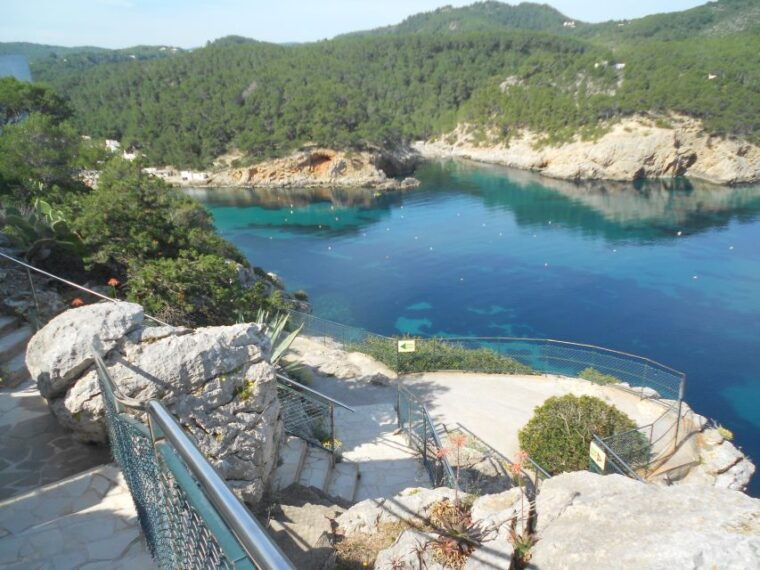 Puerto De San Miguel: Can Marçá Cave Guided Tour With Entry - Highlights of the Cave Experience