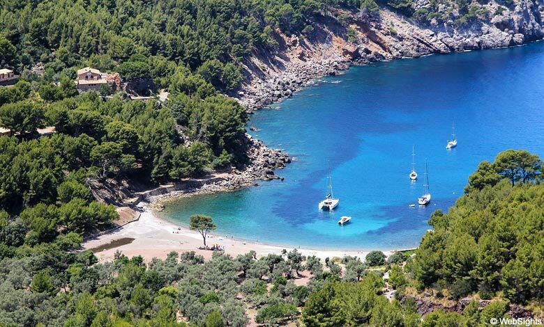 Puerto De Sóller: Cala Tuent Return Boat Trip - Good To Know
