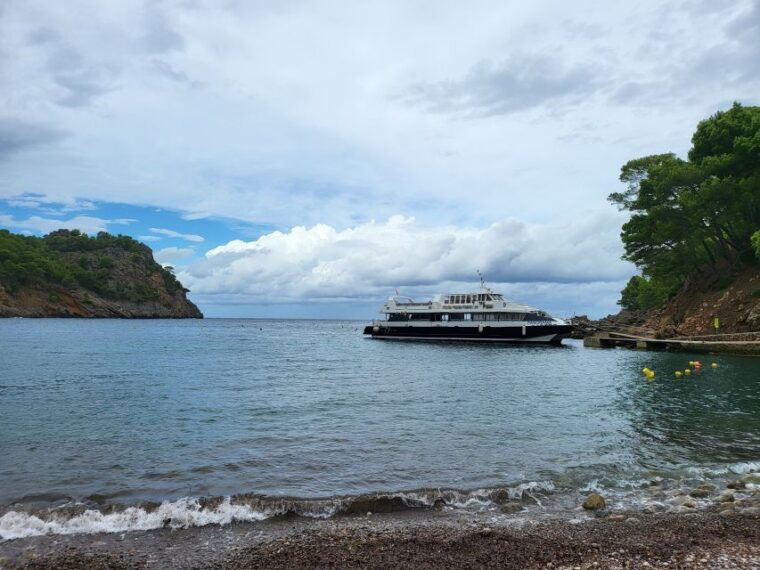 Puerto De Sóller: Cala Tuent Return Boat Trip - Scenic Features