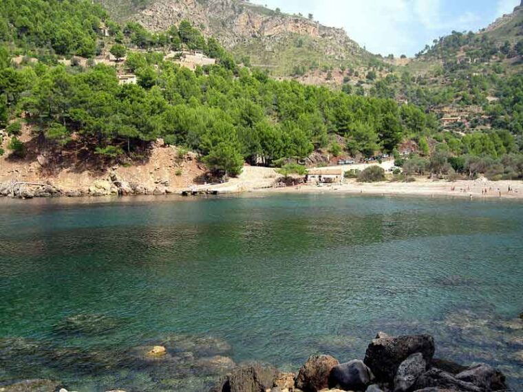 Puerto De Sóller: Cala Tuent Return Boat Trip - Choosing the Right Tour