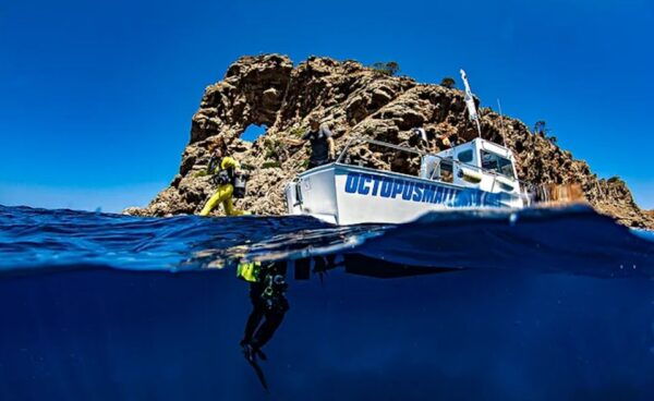Puerto De Soller: Train and Discover Scuba Diving - Frequently Asked Questions