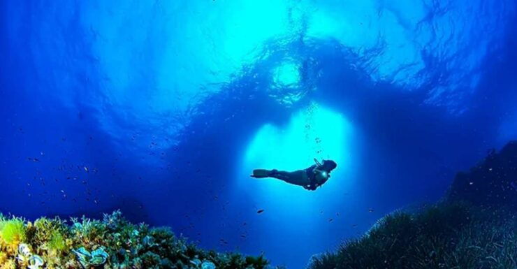 Puerto De Soller: Train and Guided Scuba Diving Experience - Experience Details