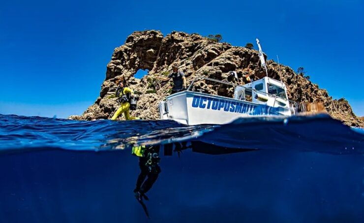 Puerto De Soller: Train and Guided Scuba Diving Experience - Itinerary