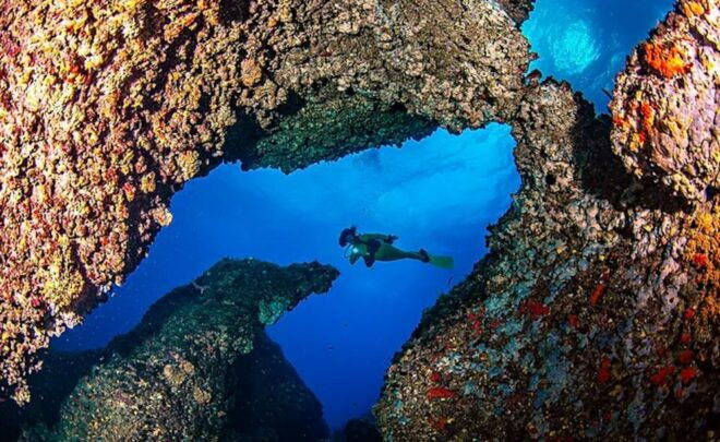 Puerto De Soller: Train and Guided Scuba Diving Experience - Participant Information