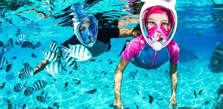 Puerto Del Carmen: Dolphin-Watching Speedboat Tour With Swim - Activity Details