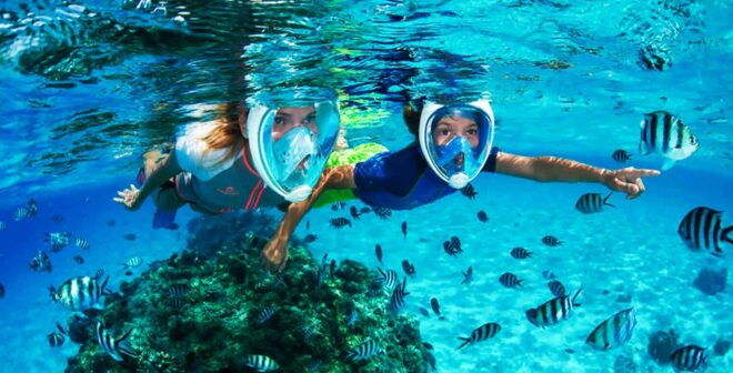 Puerto Del Carmen: Dolphin-Watching Speedboat Tour With Swim - Review Summary