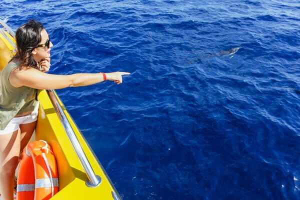 Puerto Del Carmen: Dolphin-Watching Speedboat Tour With Swim - Directions