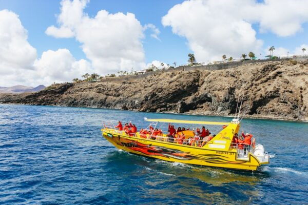 Puerto Del Carmen: Dolphin-Watching Speedboat Tour With Swim - The Sum Up