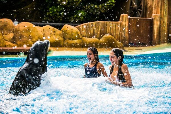Puerto Del Carmen: Rancho Texas Lanzarote Park Entry Ticket - Service and Organization Rating