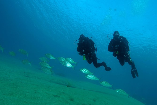 Puerto Del Carmen Scuba Diving for Beginners  - Lanzarote - Common Questions