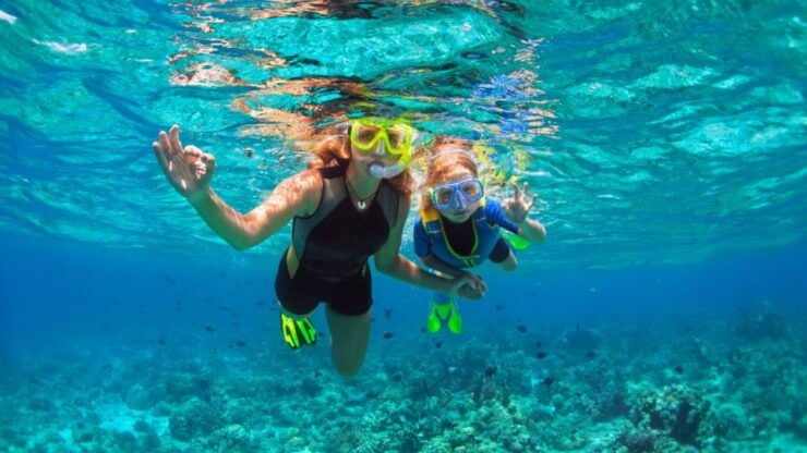 Puerto Del Carmen: Snokel Tour With an Instructor - Activity Highlights