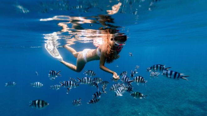 Puerto Del Carmen: Snokel Tour With an Instructor - Customer Reviews