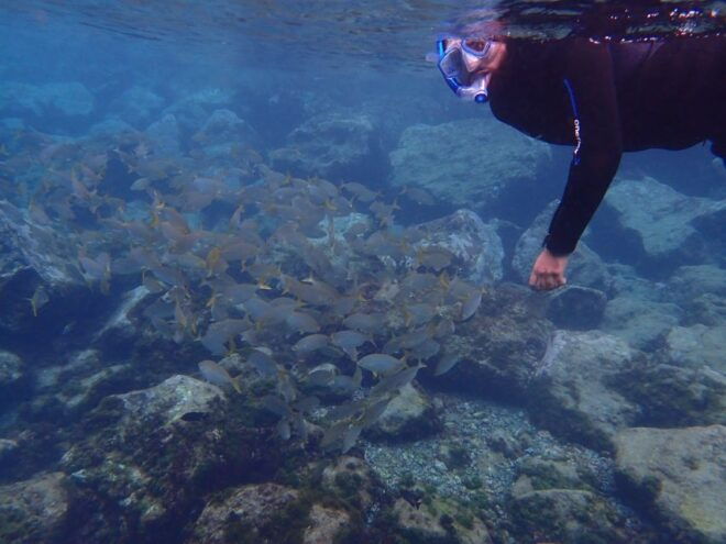 Puerto Del Carmen: Snorkeling Trip With Dive Instructor - Important Information
