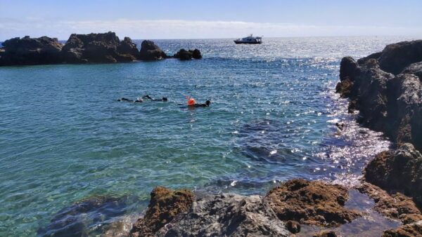 Puerto Del Carmen: Snorkeling Trip With Dive Instructor - Instructor Expertise