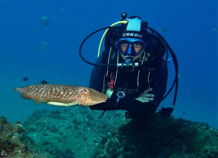 Puerto Del Carmen: Try Scuba Diving Experience With 2 Dives - Experience Instructors