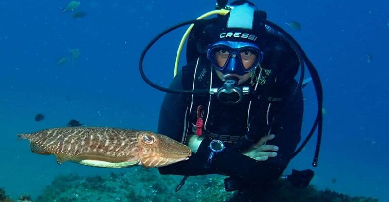 Puerto Del Carmen: Try Scuba Diving With 2 Dives and Photos - Booking Information